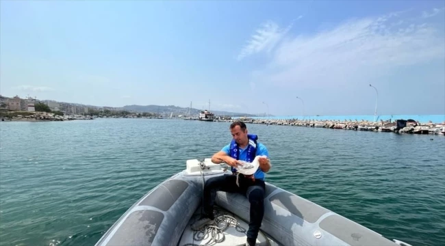 Gemlik Körfezi