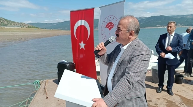 Tokat
