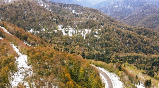 Ağaçları sonbahar renkleriyle süslü Çam Dağı kar yağışının ardından beyaz örtüyle kaplandı
