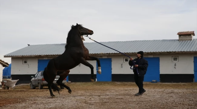 Gazi Koşusu