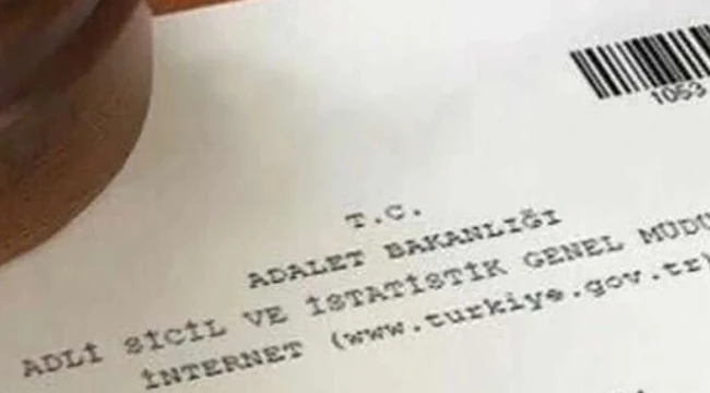 En çok adli sicil belgesi verilen dil İngilizce oldu