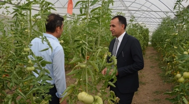 Hüseyin ŞIK DSM