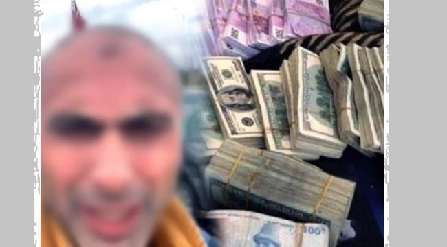 Dolandırıcı: 