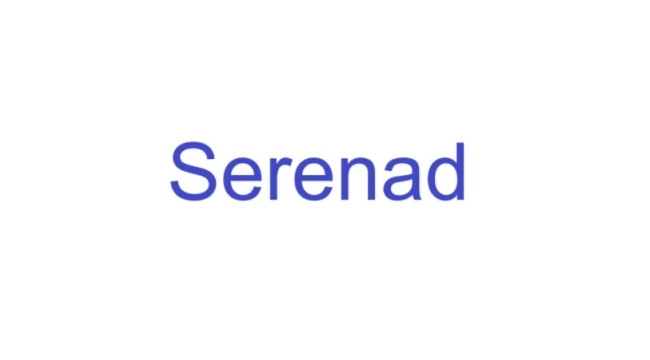 Serenad Kitap özeti, Zülfi Livaneli Serenad kitabı ne anlatıyor